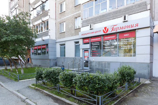 Гармония на ул. Черепанова