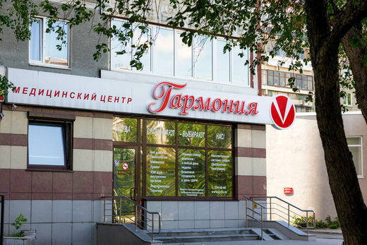 Гармония на ул. Сыромолотова
